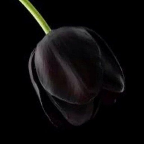 Meet your Posher, J - Picture 1 of 1